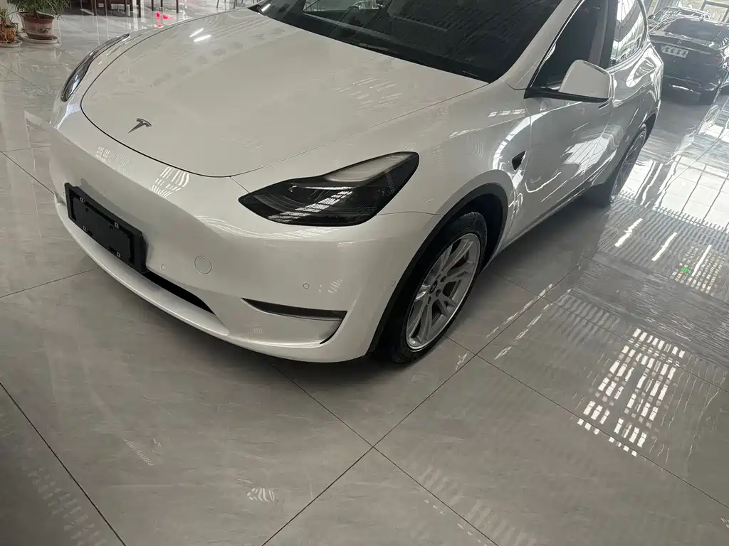 Tesla Model Y — фото 3