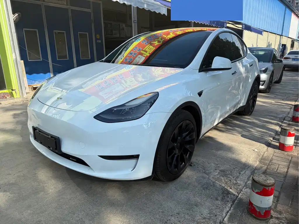 Tesla Model Y — фото 3