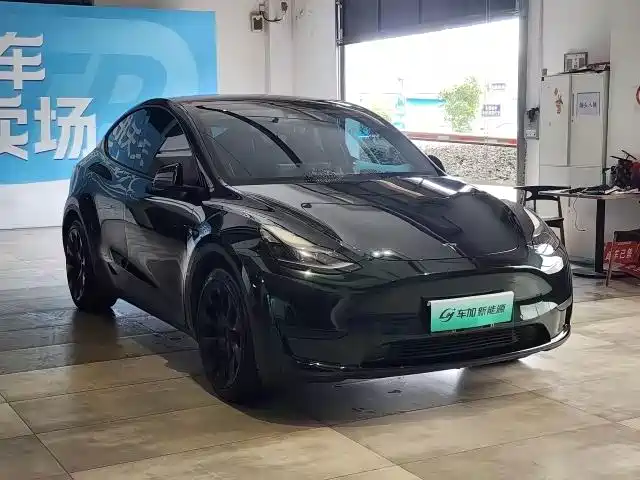 Tesla Model Y — фото 3