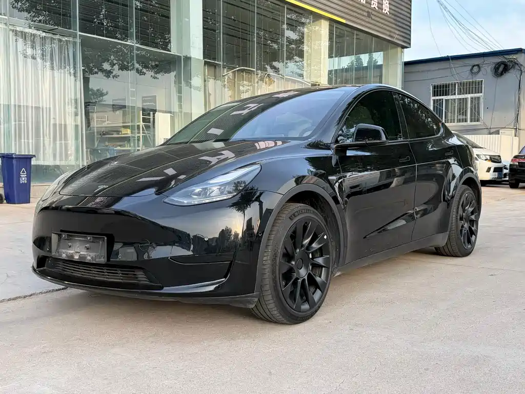 Tesla Model Y — фото 3