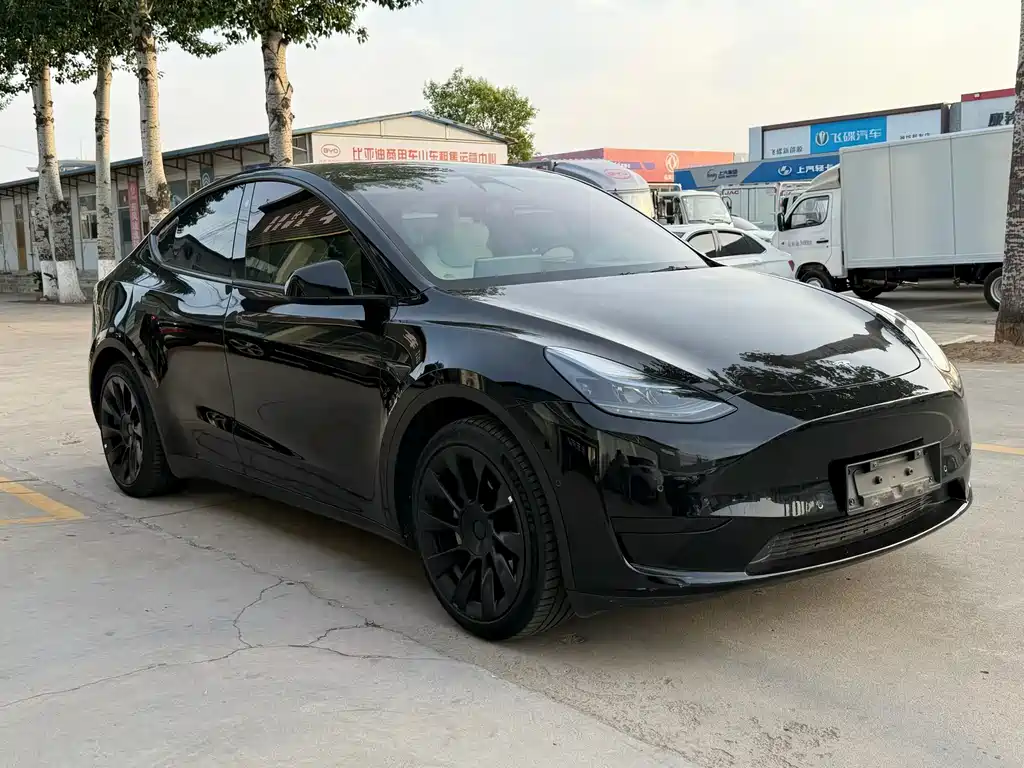 Tesla Model Y — фото 5
