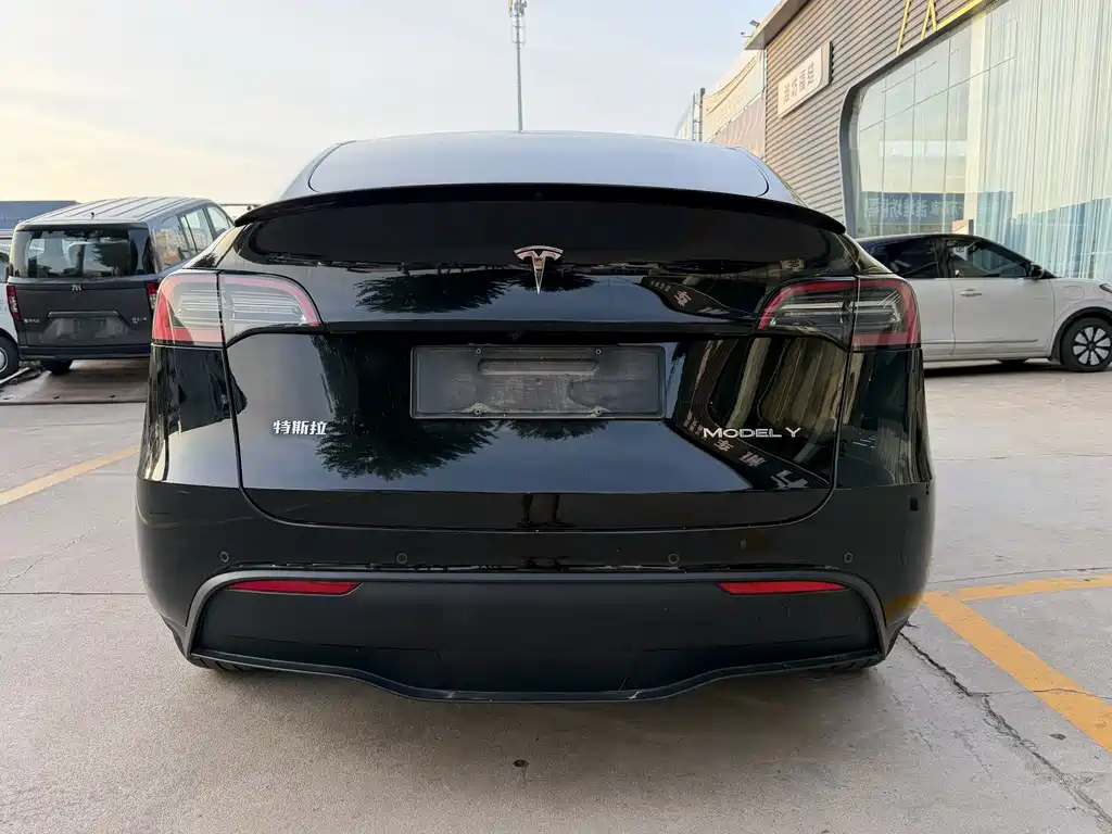 Tesla Model Y — фото 8