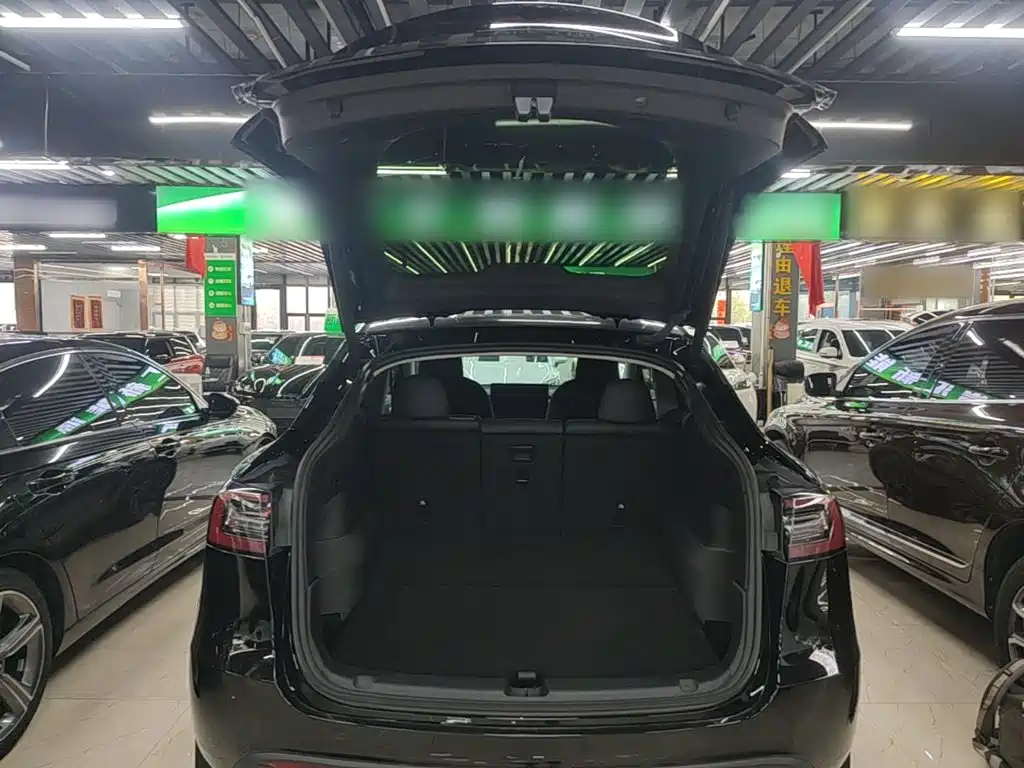 Tesla Model Y — фото 19
