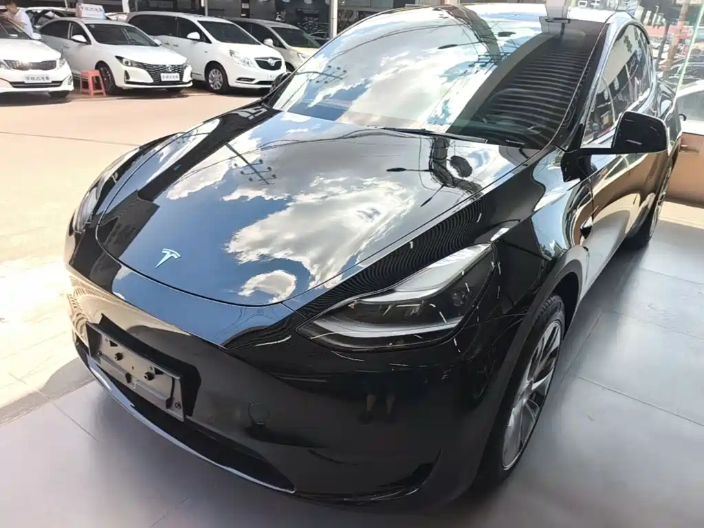Tesla Model Y — фото 2