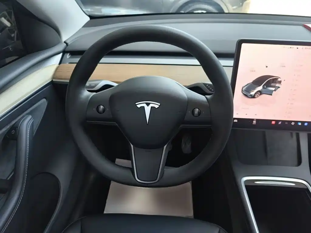 Tesla Model Y — фото 11
