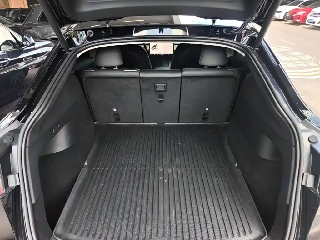 Tesla Model Y — фото 19