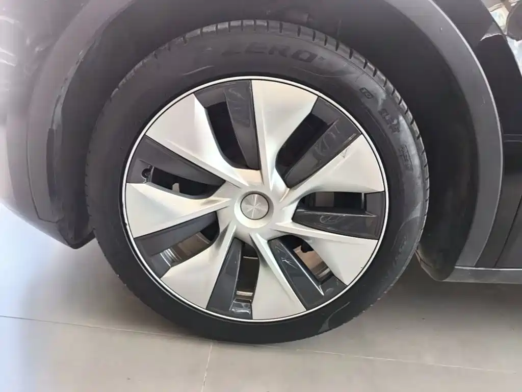 Tesla Model Y — фото 23