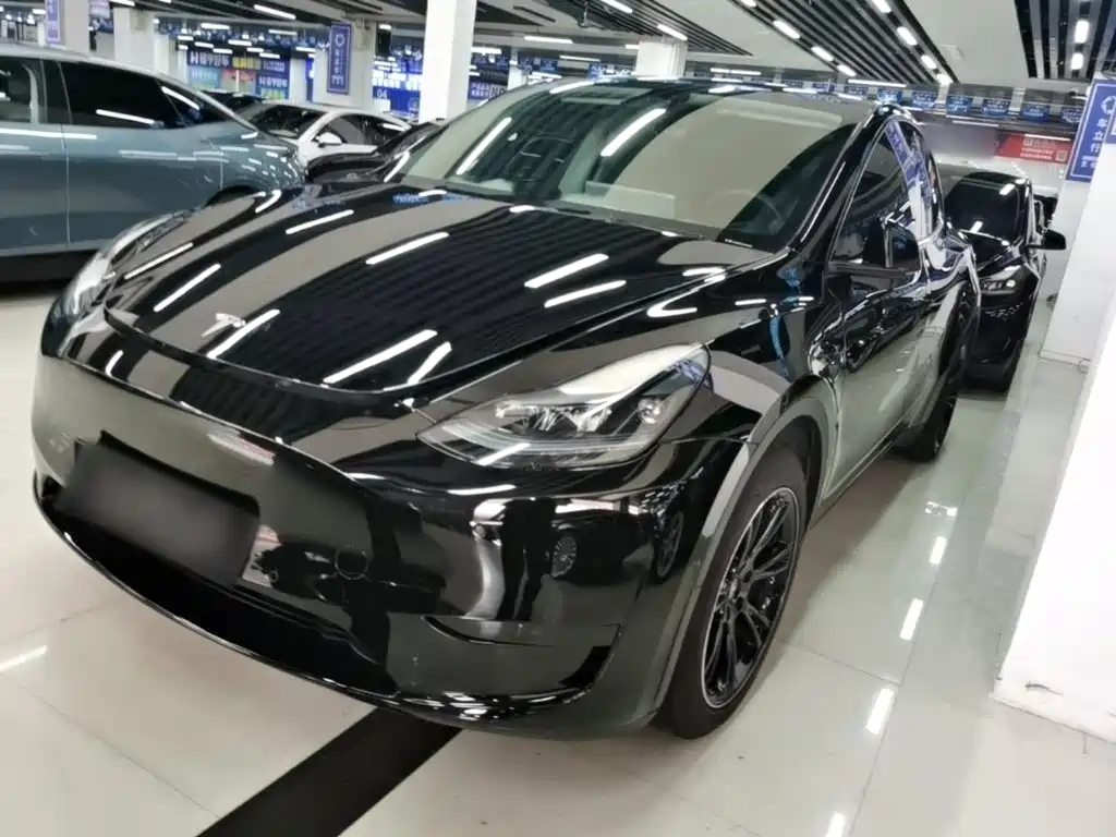 Tesla Model Y — фото 2