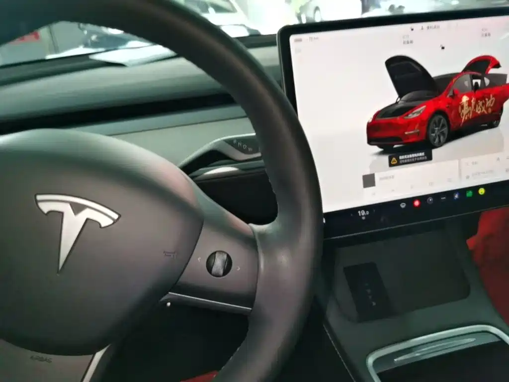 Tesla Model Y — фото 14