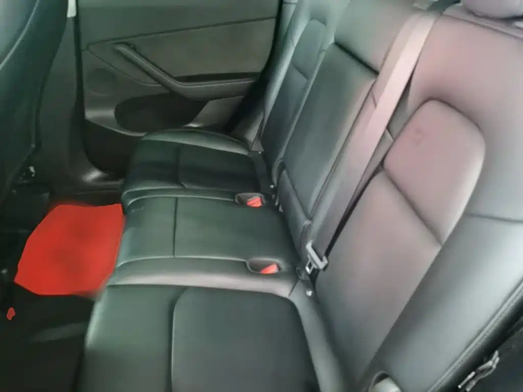 Tesla Model Y — фото 17