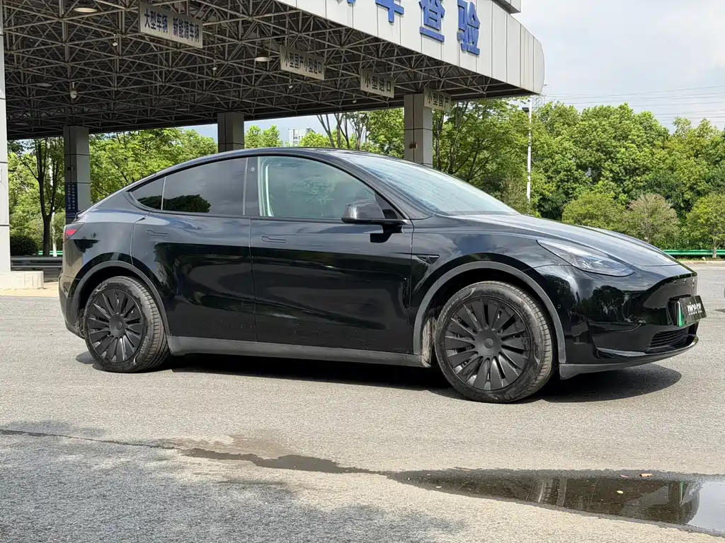 Tesla Model Y — фото 3