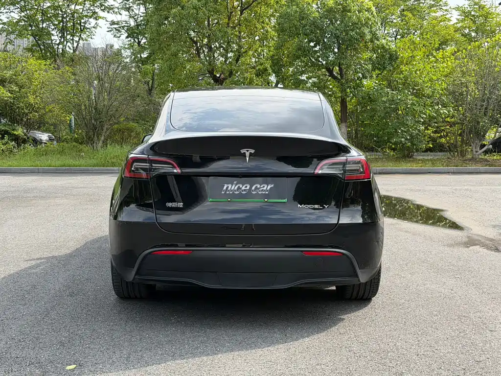 Tesla Model Y — фото 5