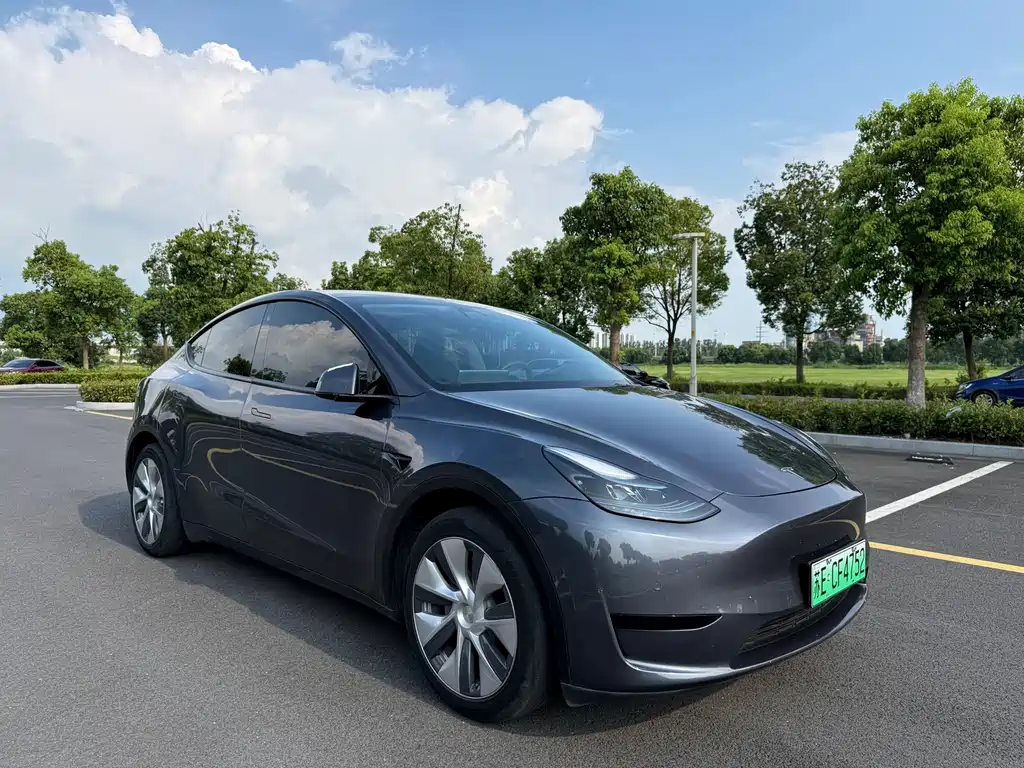 Tesla Model Y — фото 3