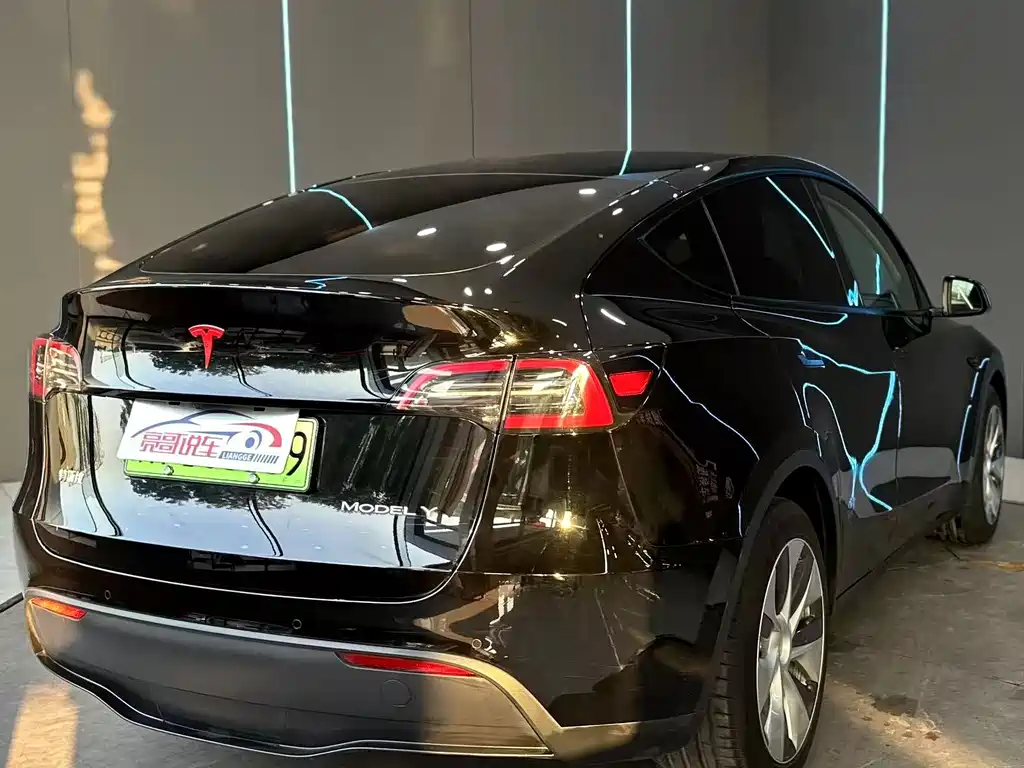 Tesla Model Y — фото 6