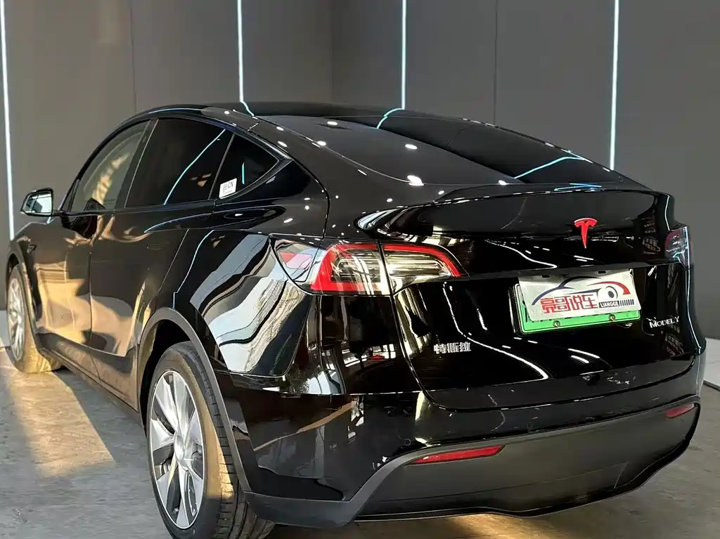Tesla Model Y — фото 8