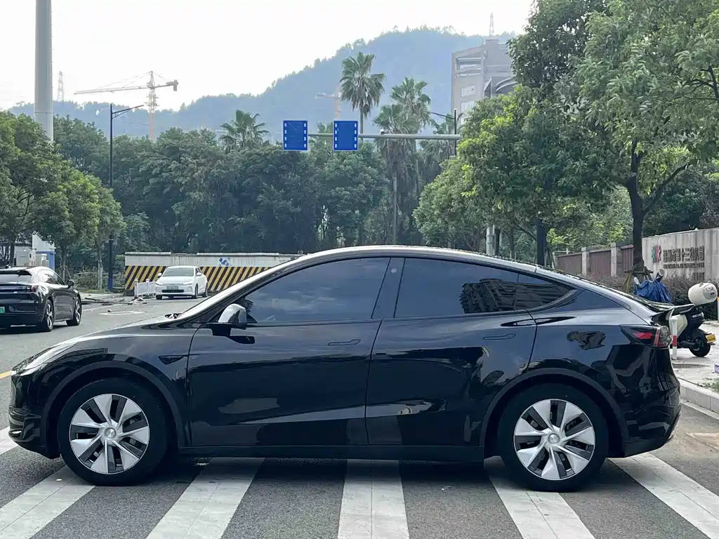 Tesla Model Y — фото 4