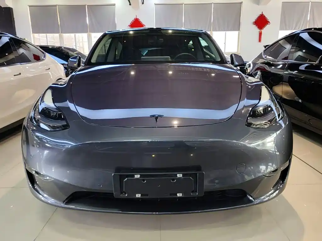 Tesla Model Y — фото 3
