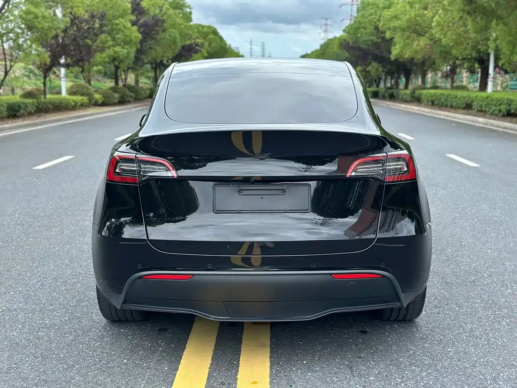 Tesla Model Y — фото 8