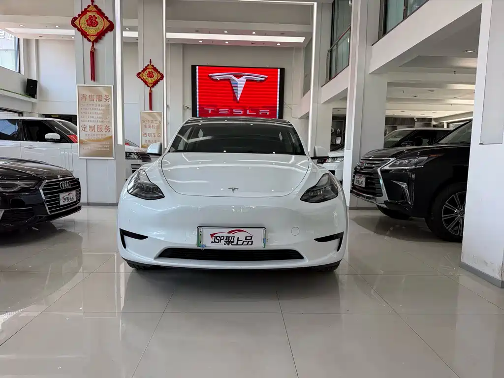 Tesla Model Y — фото 2