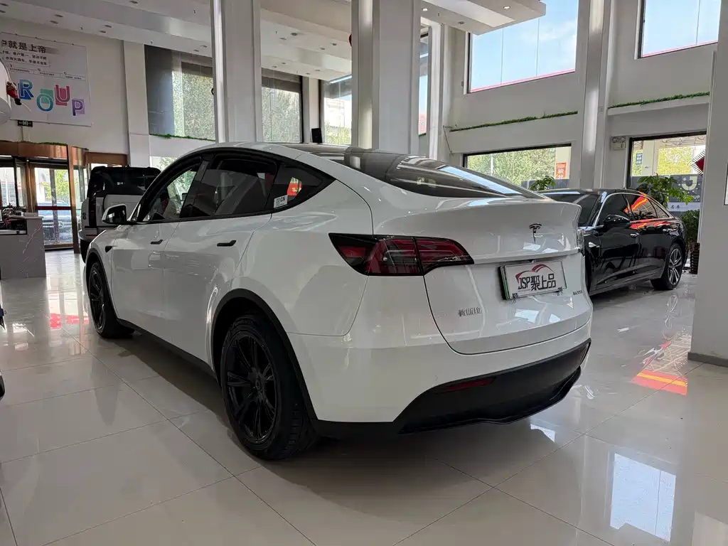 Tesla Model Y — фото 11
