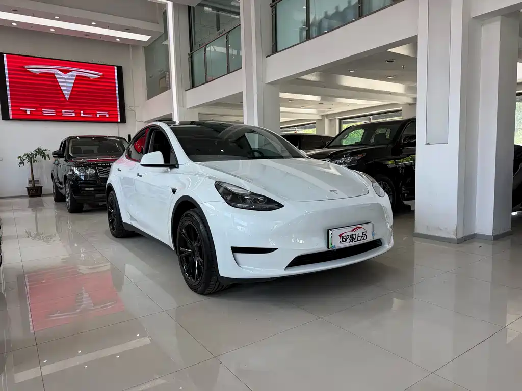 Tesla Model Y — фото 3