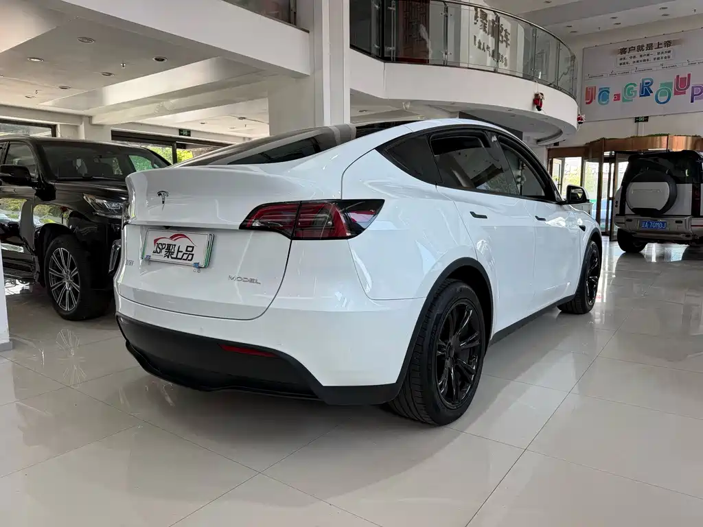 Tesla Model Y — фото 9