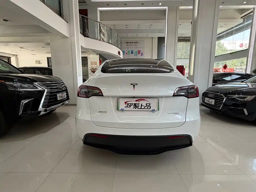 Tesla Model Y — фото 10