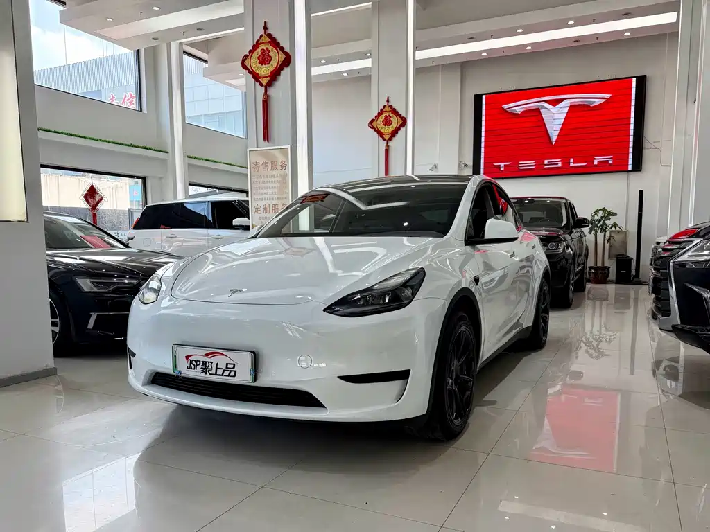 Tesla Model Y — фото 1