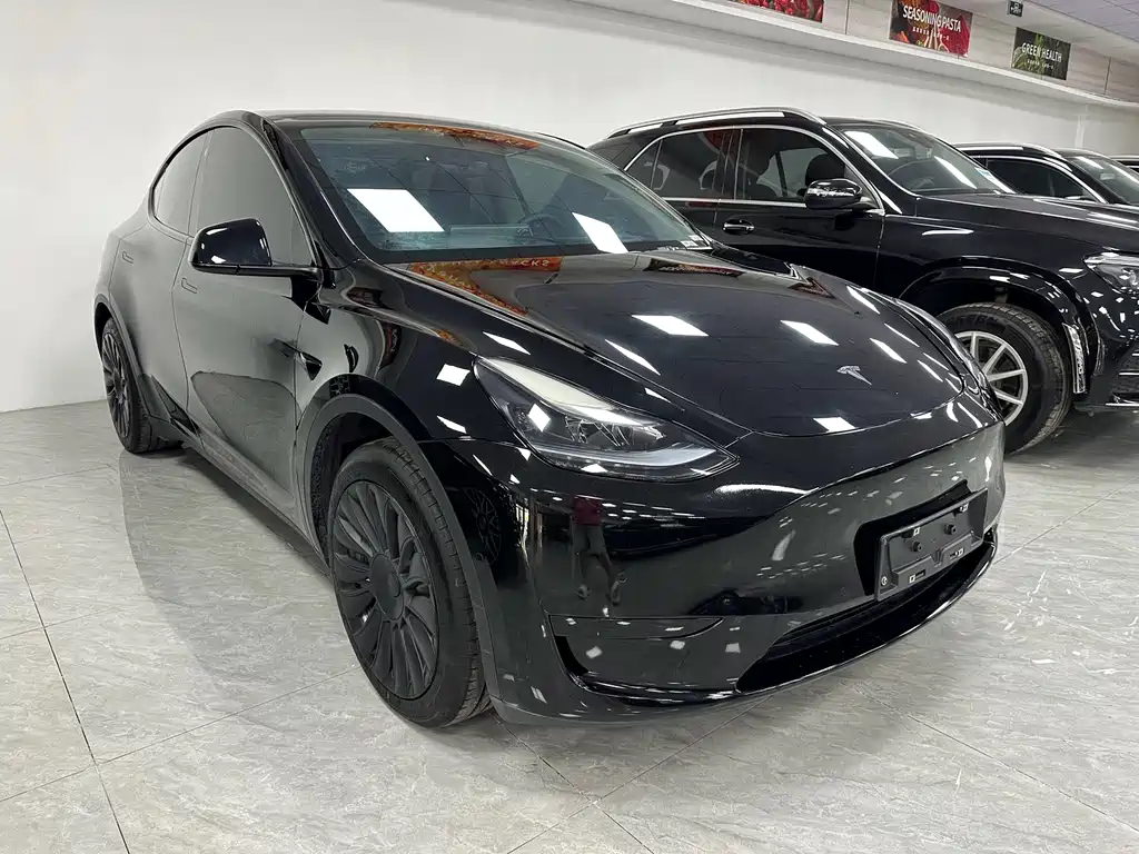 Tesla Model Y — фото 3