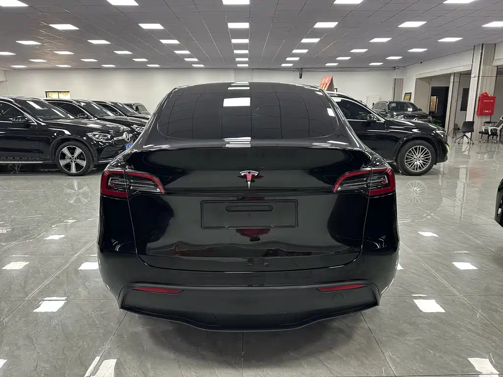 Tesla Model Y — фото 8