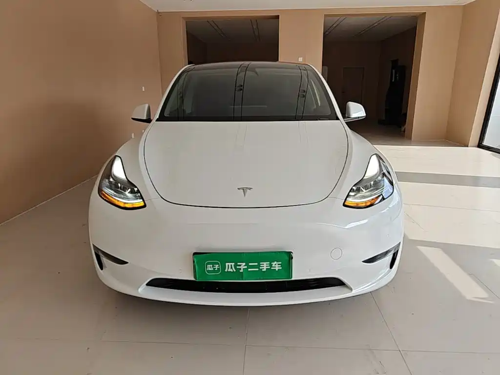 Tesla Model Y — фото 3