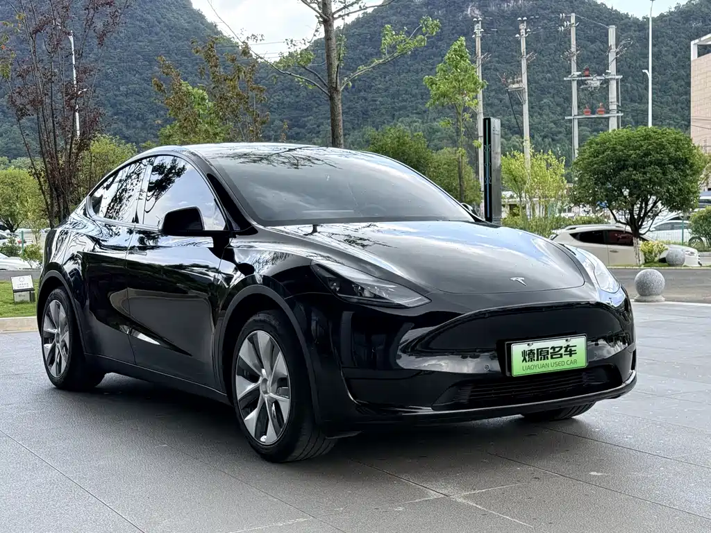 Tesla Model Y — фото 3