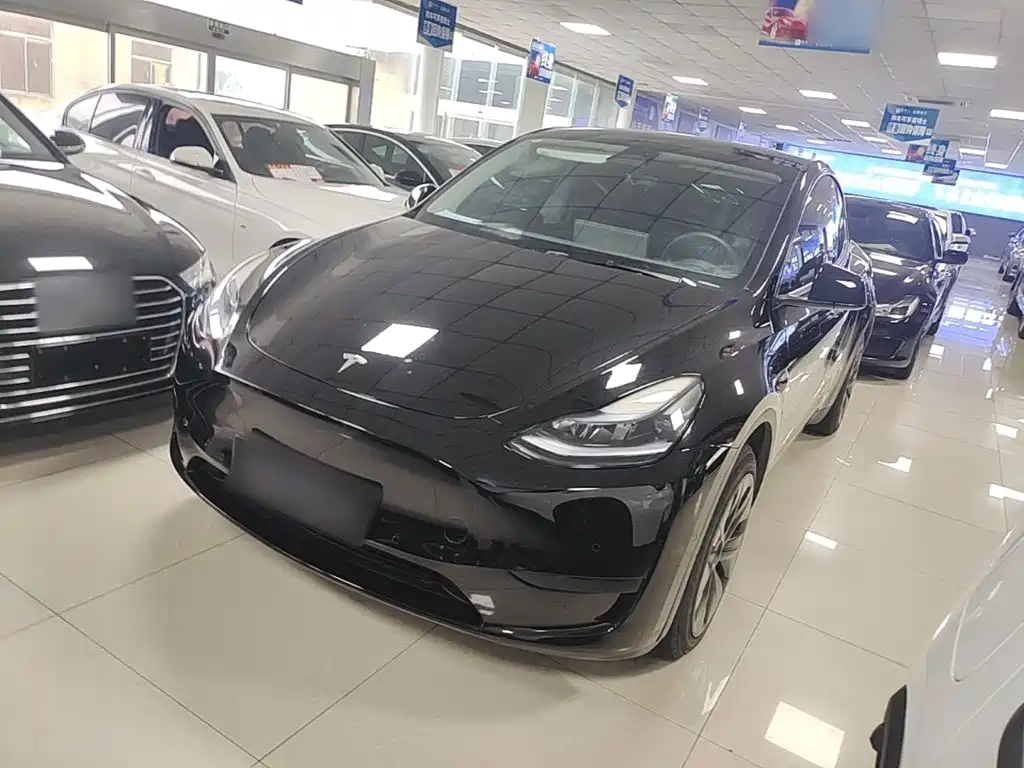 Tesla Model Y — фото 2