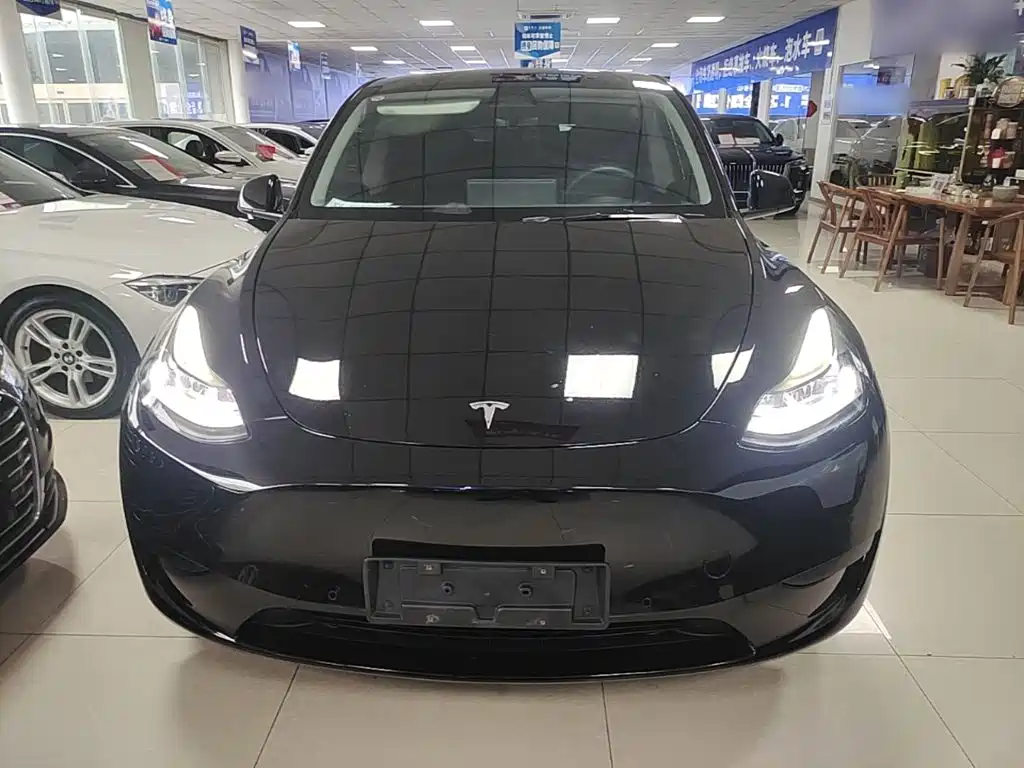 Tesla Model Y — фото 3