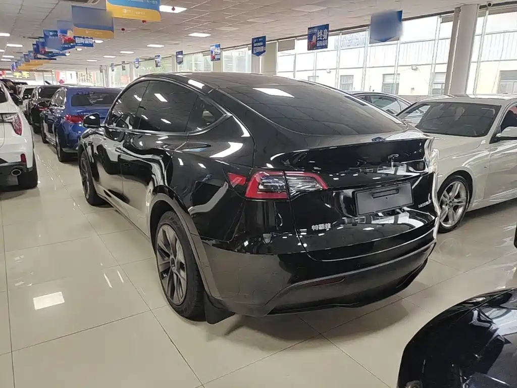 Tesla Model Y — фото 5