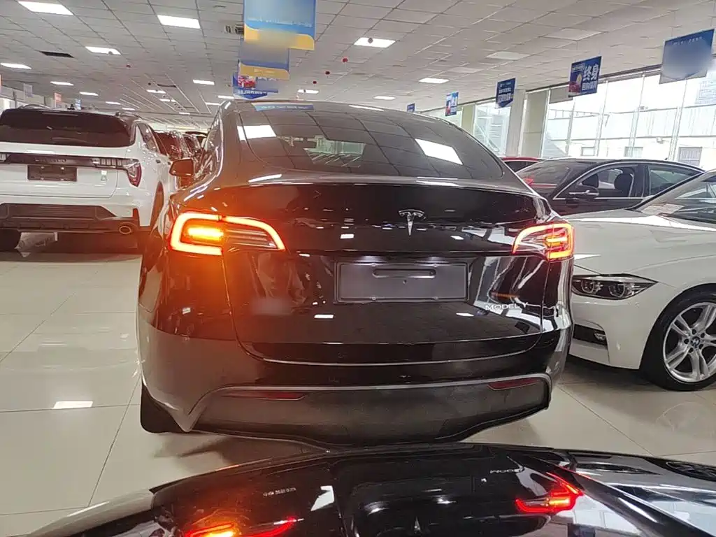 Tesla Model Y — фото 6