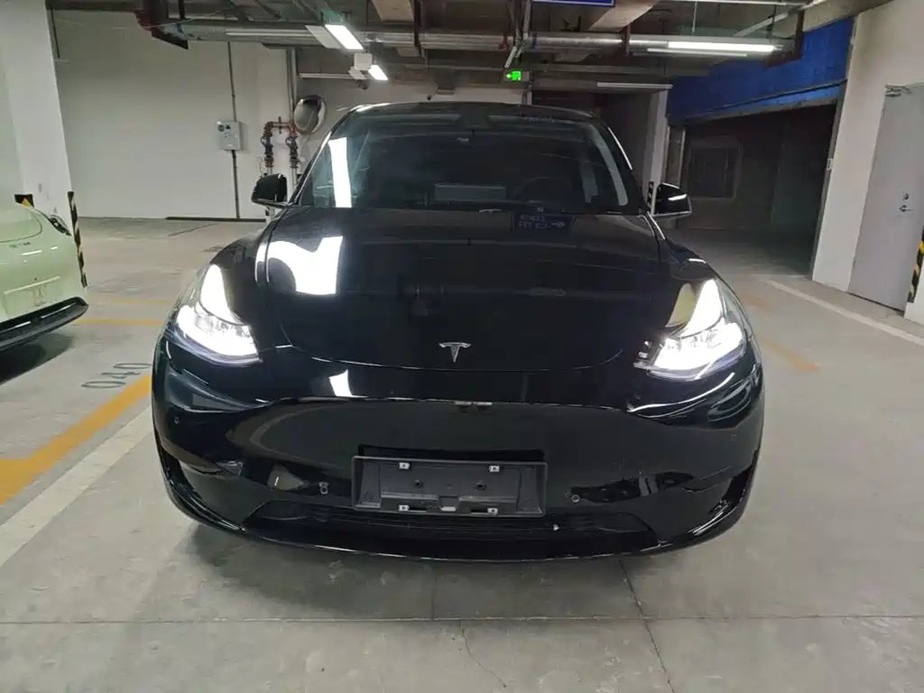 Tesla Model Y — фото 3