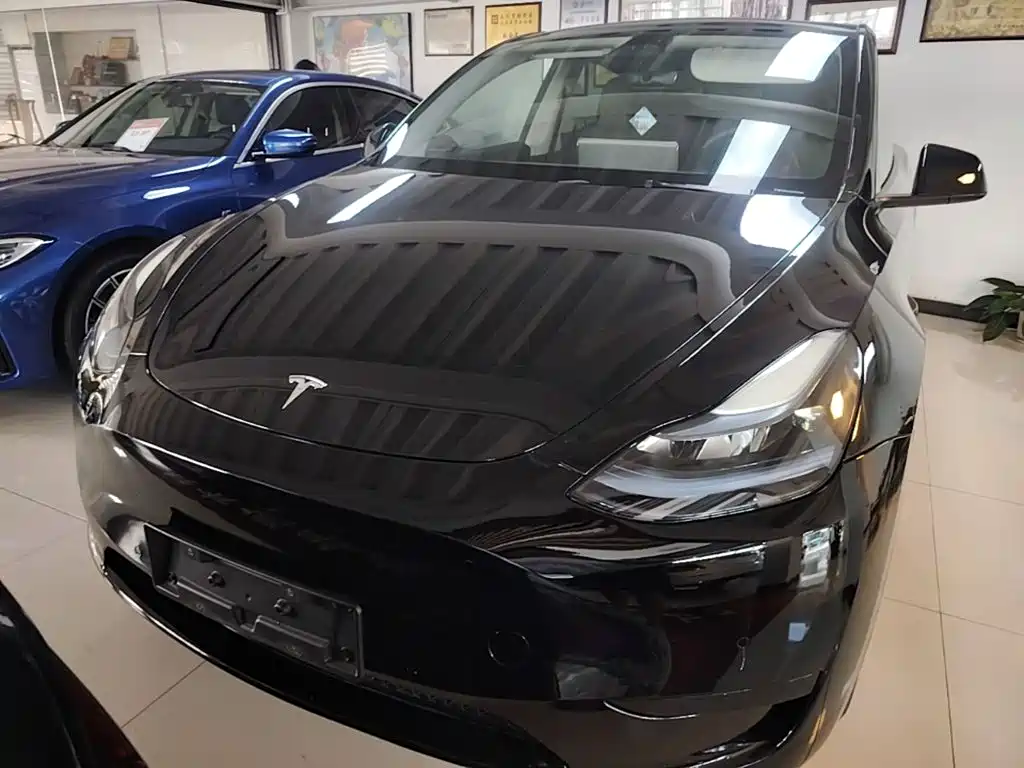 Tesla Model Y — фото 3