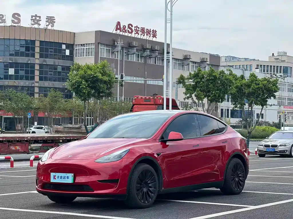 Tesla Model Y — фото 2