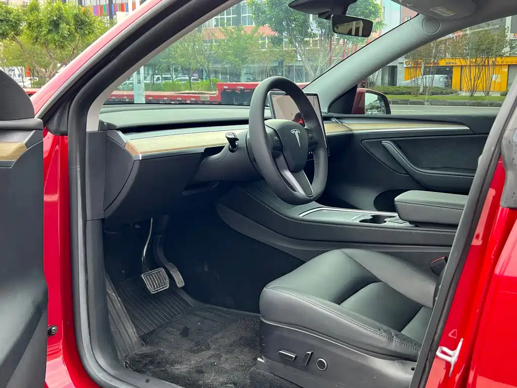 Tesla Model Y — фото 11