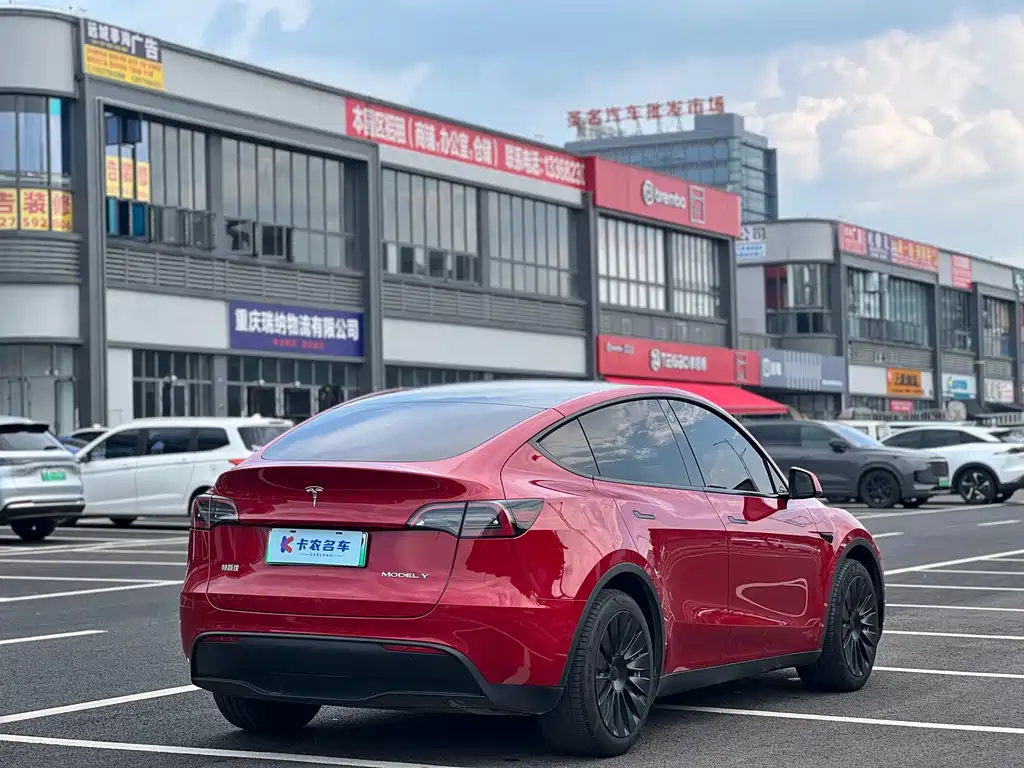 Tesla Model Y — фото 5