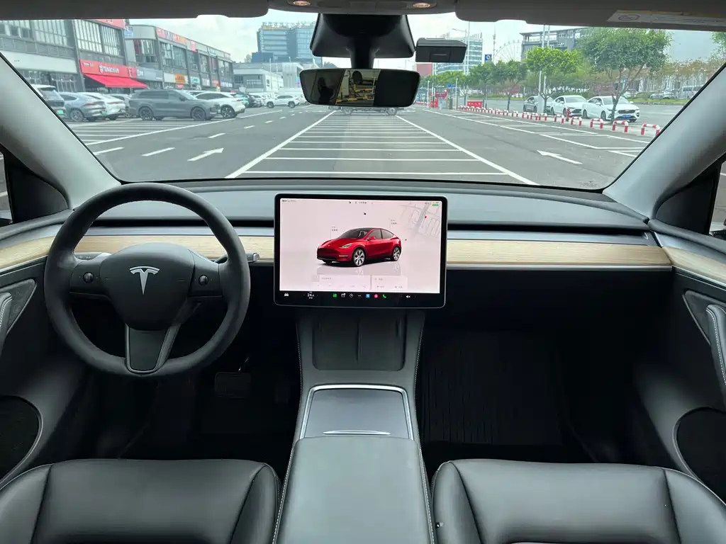 Tesla Model Y — фото 9