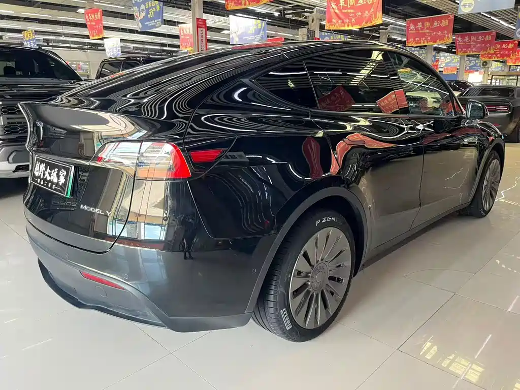 Tesla Model Y — фото 8