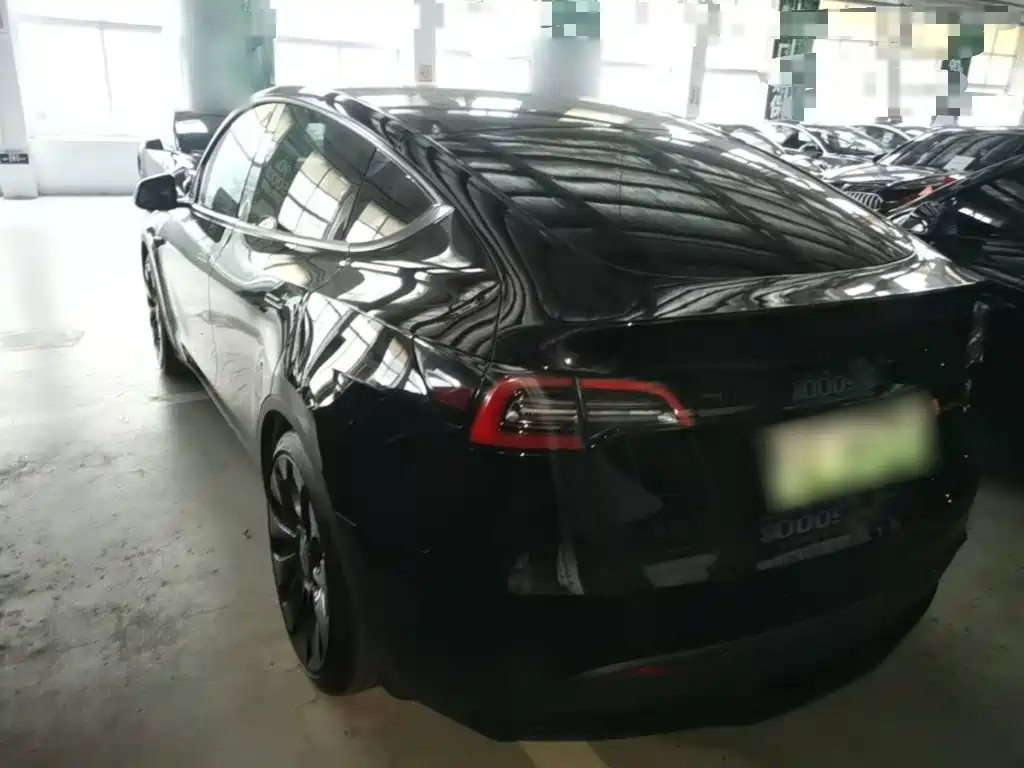 Tesla Model Y — фото 5