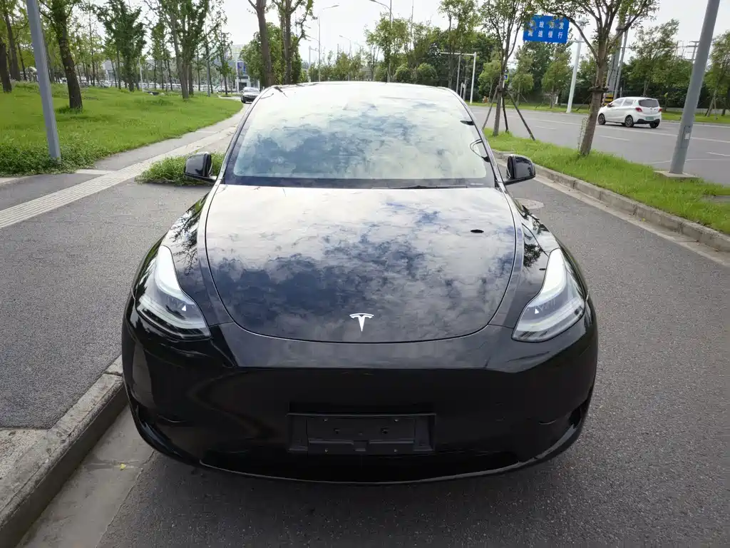 Tesla Model Y — фото 3