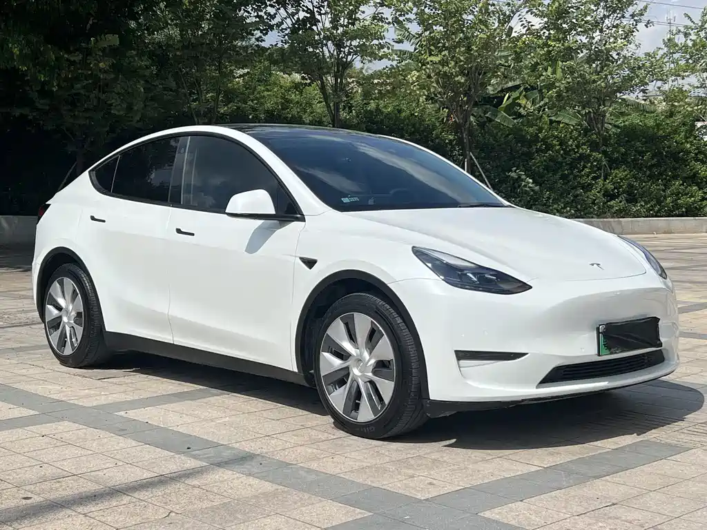 Tesla Model Y — фото 2