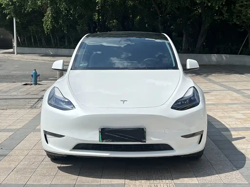 Tesla Model Y — фото 3