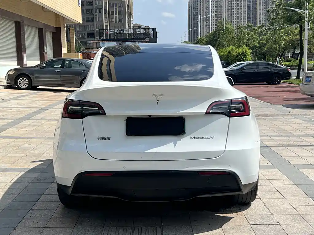 Tesla Model Y — фото 5