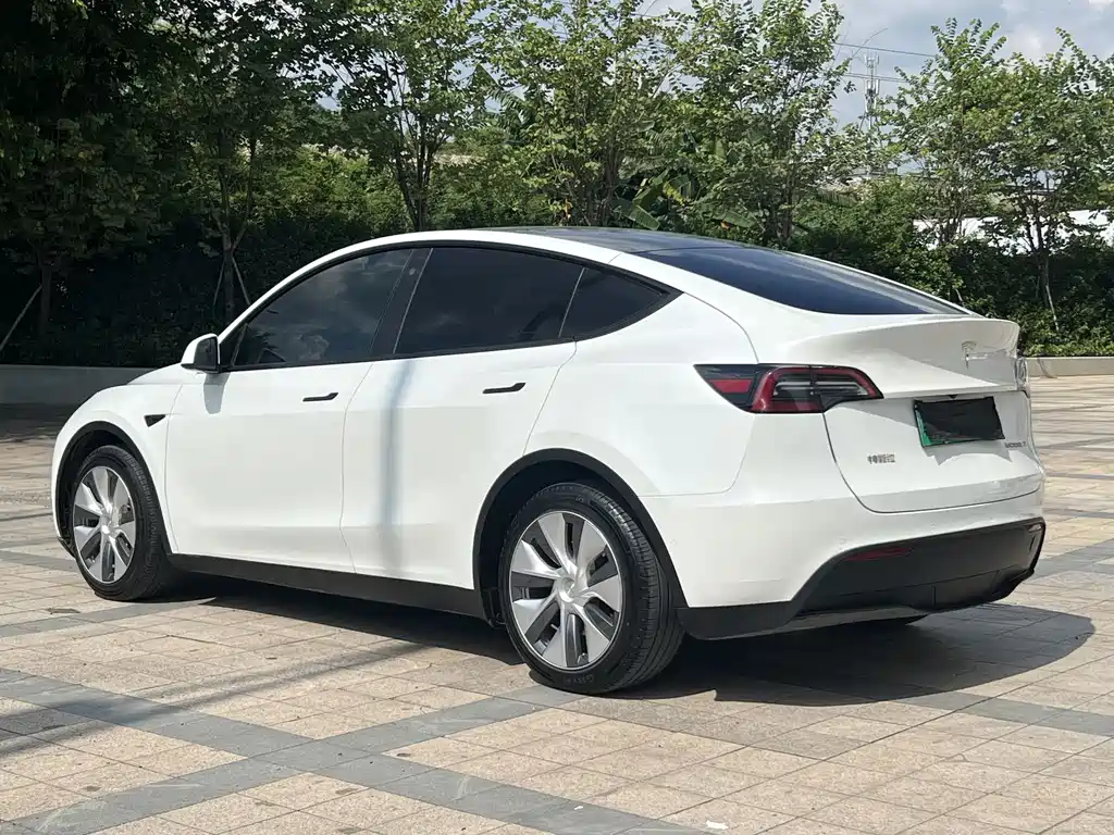 Tesla Model Y — фото 10