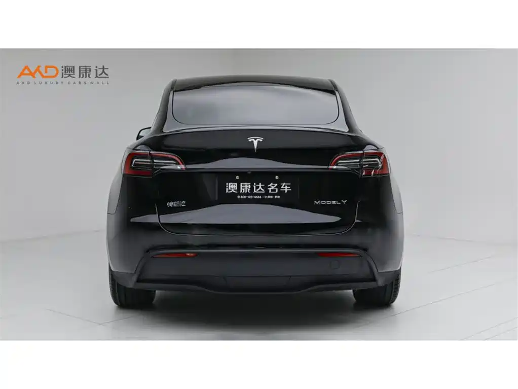Tesla Model Y — фото 4